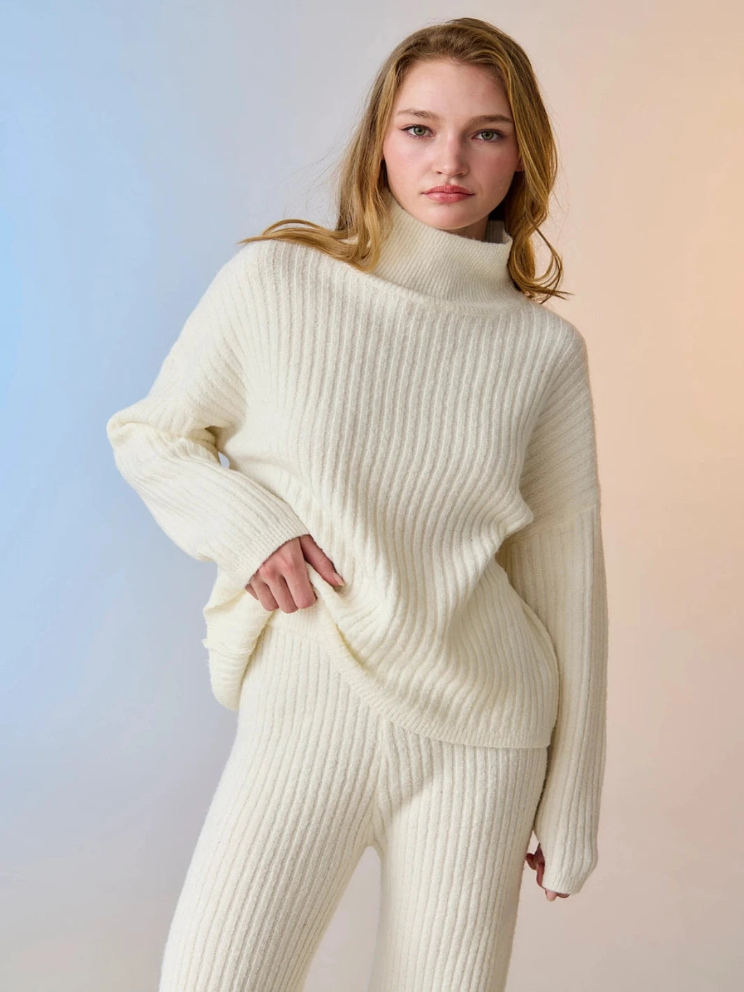 Bia Long Sleeve Turtleneck Sweater Top